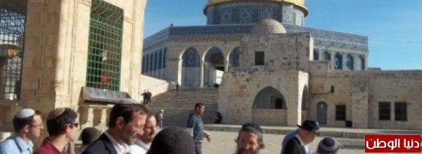 42 مستوطنًا وطالبًا يهوديًا يقتحمون المسجد الأقصى