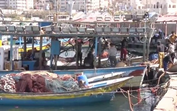 فيديو: "صيادو غزة" صيد ثمين لزوارق الاحتلال