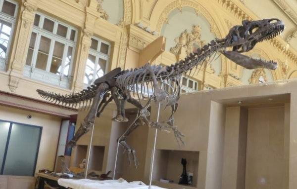 صور: ديناصور غريب يُعرض للبيع في باريس