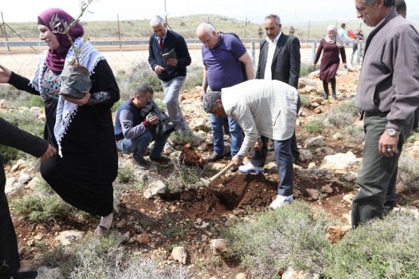 محافظة سلفيت تحيي يوم الارض بزراعة اشجار الزيتون في دير بلوط