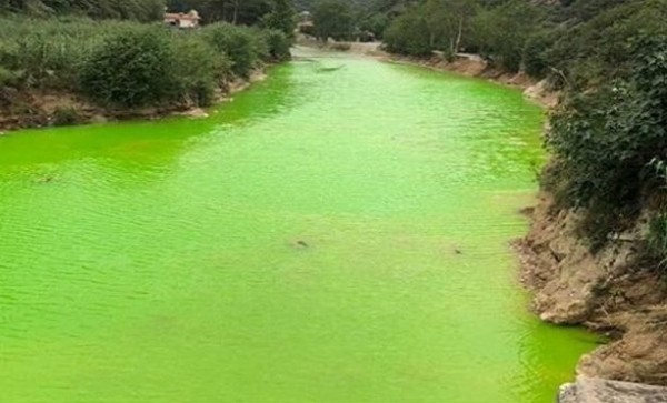 صور: في لبنان.. مياه نهر تتحوّل من الأزرق إلى الأخضر