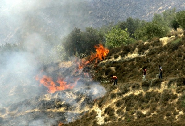 اندلاع النيران في أراضي غرب بيت لحم
