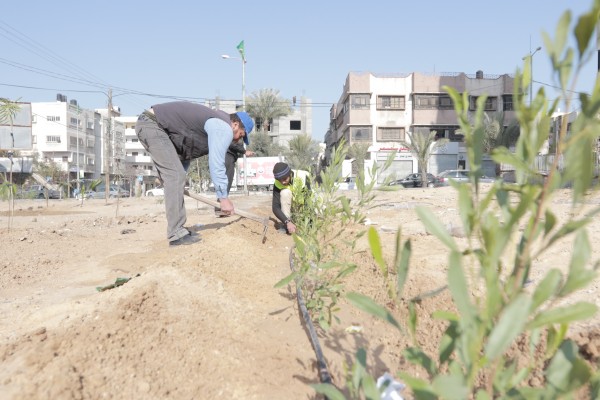بلدية غزة تزرع ( 3700) شتلة خلال شهر إبريل الماضي