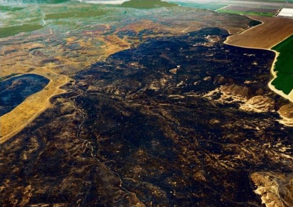 يديعوت: رئة غلاف غزة الخضراء أصبحت سوداء