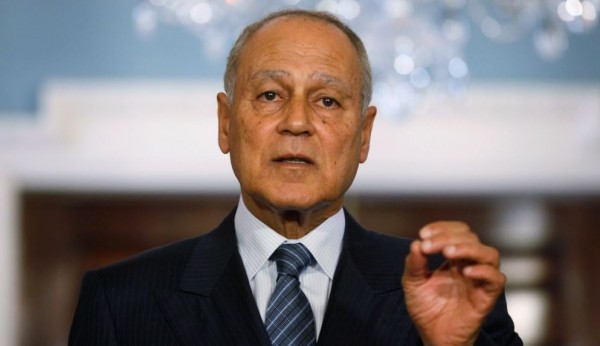 أبو الغيط يبحث مع رئيس الجمعية العامة للأمم المتحدة حماية الفلسطينيين دولياً