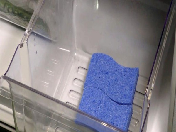 لماذا عليكِ أن تضع "قطعة إسفنج" داخل الثلاجة؟
