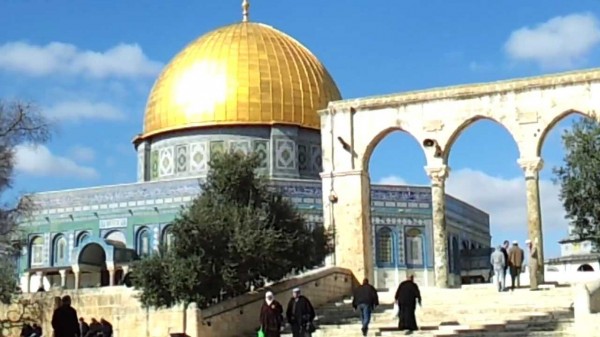 القدس الدولية تدعو لإعمار المنطقة الشرقية بالأقصى وإعادة تأهيل مقبرة باب الرحمة