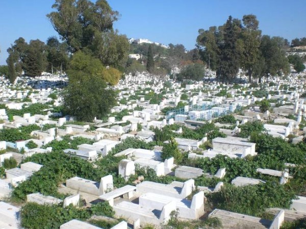 مصر: بسبب علاقة آثمة.. خرج من مقبرة وقتل 3 أشخاص