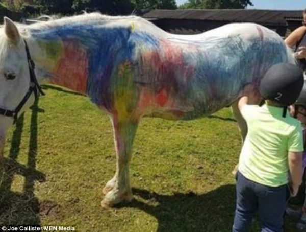 تحويل حصان للوحة رسم للأطفال يستنفر آلاف الغاضبين