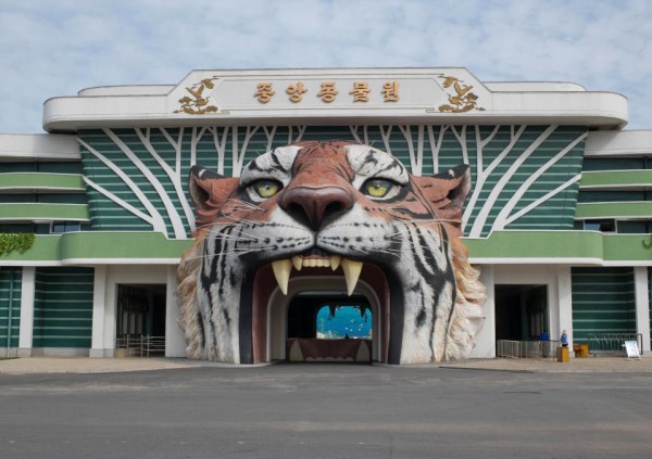 شاهد حديقة الحيوانات بكوريا الشمالية والتي تعتبر الأسوأ في العالم رغم "أوامر كيم جونغ"