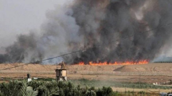 قوات الاحتلال تحرق مزرعة في سبسطية شمال غرب نابلس