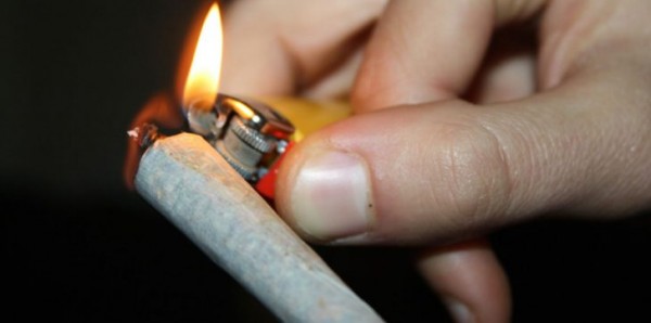 شركة كندية تطلب حشاشون ذوو خبرة براتب 12 ألف دولار شهريًا