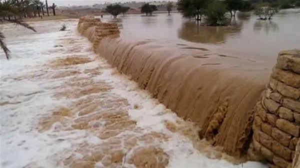 بينهم سيدتان وطفلتان.. مصرع تسعة أشخاص في سيول ضربت مناطق بالاردن