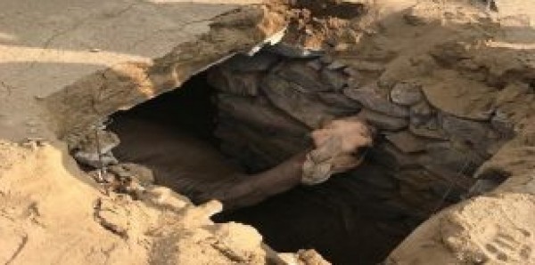 شاهد لحظة سقوط ناقة في قبر به جثمان بالسعودية