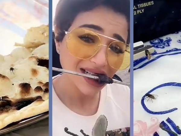فيديو: نُهى نبيل تأكل وسط الذباب وتثير غضب متابعيه