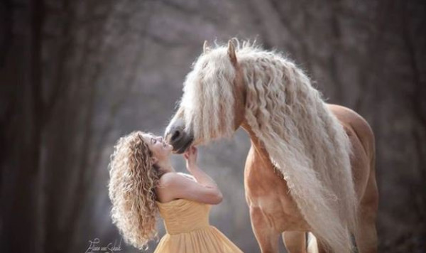 شعر "رابونزيل" يمنح حصانا شعبية طاغية على "إنستقرام"