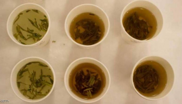 حقيقة الشاي الأخضر.. 8 حقائق فاصلة