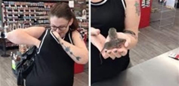 امرأة تحمل فئران في حمالة صدرها تثير ذعر المتسوقين
