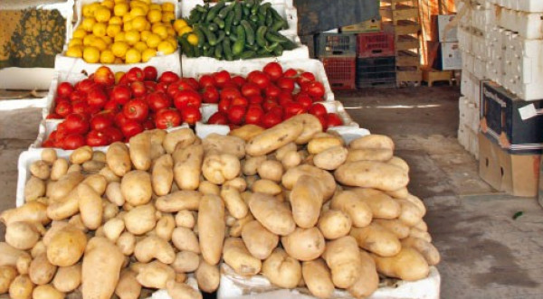 بعد تصديرها للكويت.. تخوفات من ارتفاع أسعار "البطاطا" بغزة لتلحق برفيقتها "البندورة"