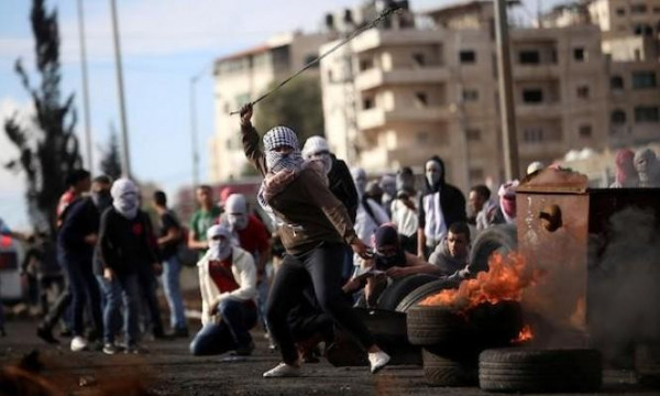 (اوتشا): تصاعد في اعتداءات المستوطنين بحق الفلسطينيين