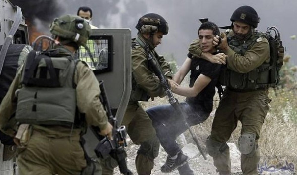 قوات الاحتلال تعتقل 13 فلسطينيًا من الضفة الغربية