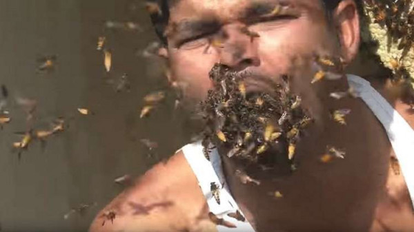 شاهد: هندي يُدخل أعداداً كبيرة من النحل في فمه