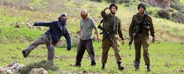انتهاكات واسعة للمستوطنين في الضفة بحماية من جيش الاحتلال