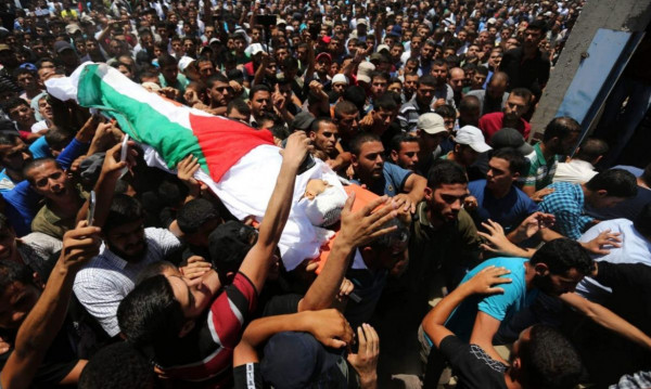 مركز حقوقي: 273 فلسطينيًا استشهدوا منذ بدء مسيرات العودة