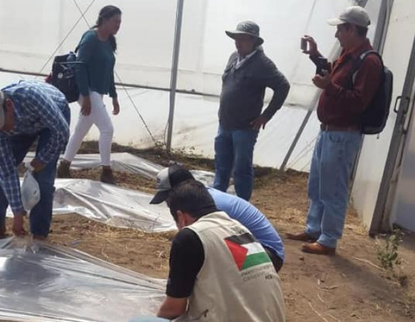 الوكالة الفلسطينية للتعاون الدولي تُنفذ برنامجاً تنموياً زراعياً في جمهورية نيكاراغوا