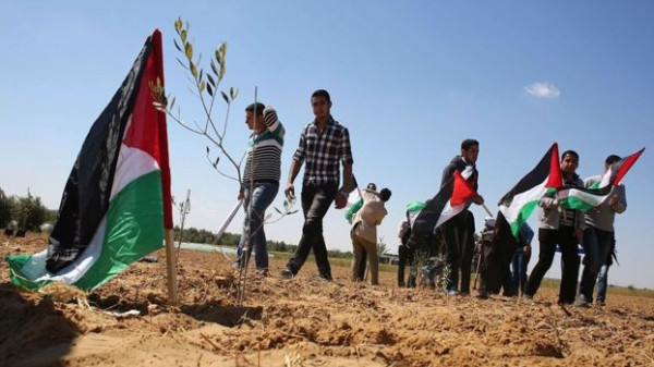 43 عاماً على ذكرى يوم الأرض الفلسطيني