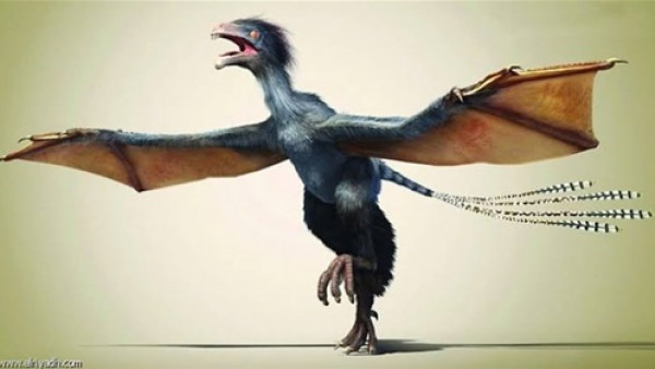 علماء يكتشفون ديناصور مجنح غريب في الصين