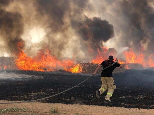 بالفيديو: اندلاع الحرائق في إسرائيل يتواصل وإخلاء سكان بعض المنازل بعدة مناطق