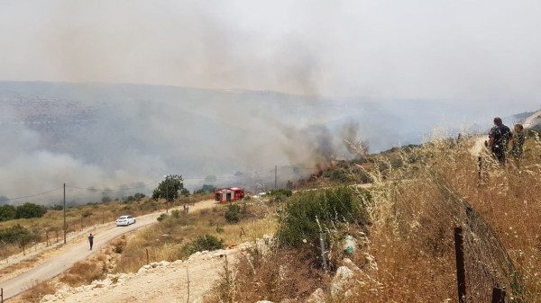 شاهد: اندلاع حريق في شعر هنيغف بمنطقة غلاف غزة بسبب بالونات حارقة