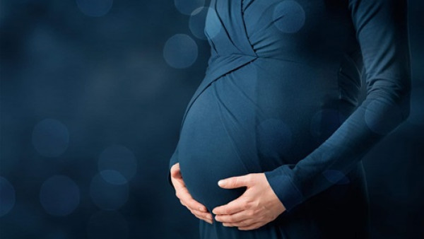 علماء يكتشفون حجم "الفقاعة الوقائية" للنساء الحوامل