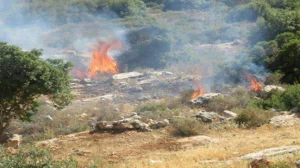 مستوطنون يضرمون النار في أراضي مادما جنوب نابلس
