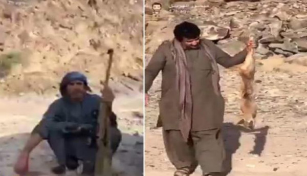 شاهد: أحد مشاهير "سناب شات" يتفاخر بقتل حيوان "الوشق" العربي النادر