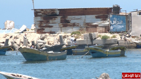 شاهد: لحظة وصول 20 قارباً لميناء غزة بعد الافراج عنهم من قبل الاحتلال