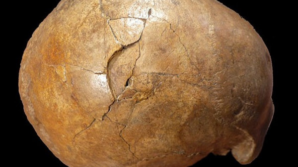 جمجمة رجل من العصر الحجري تكشف وقوع جريمة بواسطة كائن غريب