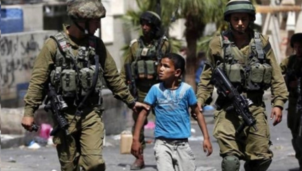 الاحتلال يعتقل طفلين شقيقين من الخليل