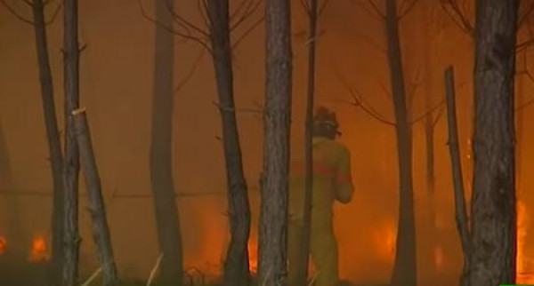 شاهد: 900 رجل إطفاء يكافحون حرائق هائلة في البرتغال