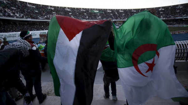 شاهد: على أنغام فلسطينية.. الجزائر تحتفل بعيد استقلالها في غزة