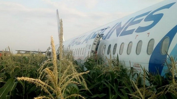 سيقان الذرة تُنقذ طائرة ركاب روسية من كارثة مؤكدة