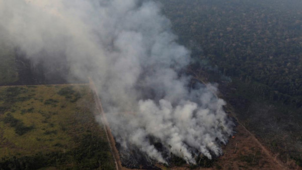 شاهد: رئة العالم تحترق.. حرائق الأمازون تدعو لقلق البشرية