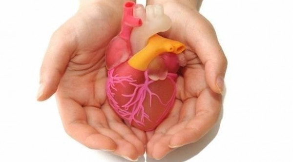 تطوير أداة لإصلاح صمامات القلب التالفة