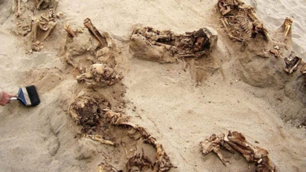 شاهد: اكتشاف أكبر مقبرة لأطفال قدموا قرابين للآلهة في البيرو