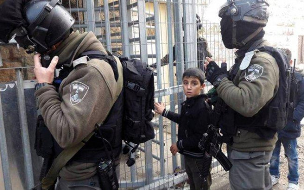 الاحتلال يعتقل طفلا من مدينة الخليل