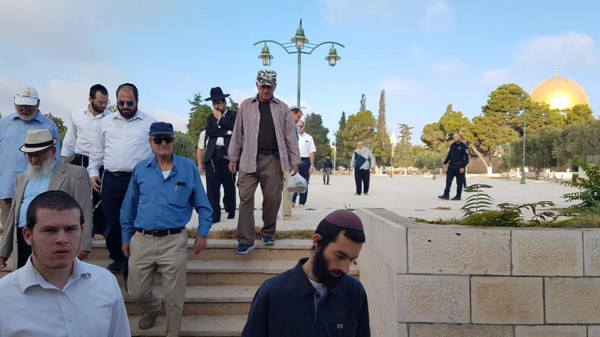 (448) مستوطناً اقتحموا المسجد الأقصى الأسبوع الماضي