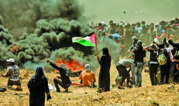 نقره لعرض الصورة في صفحة مستقلة