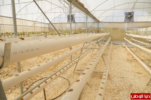 البدء بدورة الزراعة المائية والمعلقة في مركز التدريب المهني الزراعي