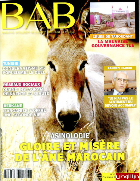 لأول مرة في مجلة مغربية.. الحمار موضوع غلاف مجلة "BAB" الشهرية